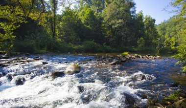 Wilson Creek CASCADE