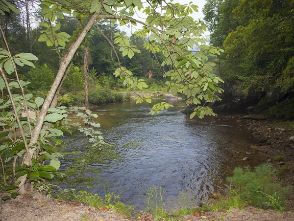 Wilson Creek com vista — Fotografia de Stock