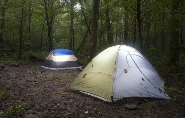 暗い森のキャンプ — ストック写真