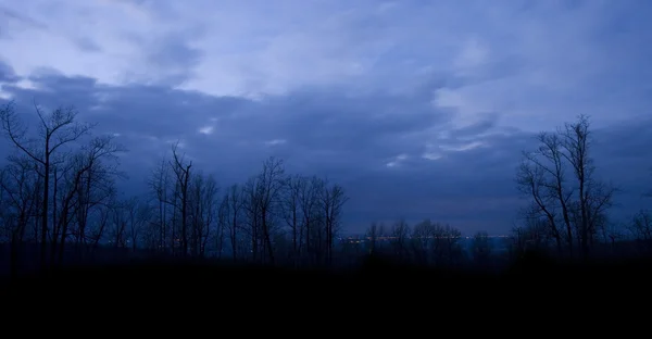 Blue nightfall in Virginia — Stock Photo, Image