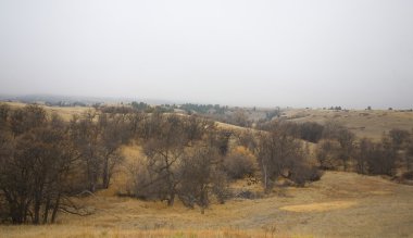 Türkiye'nin uzak sürüsü