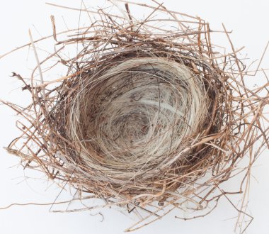 küçük kuş yuvası