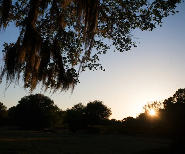 Long coucher de soleil Floride — Photo