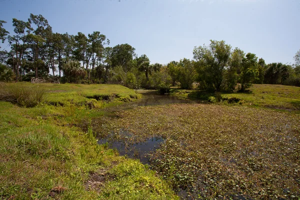 Florida canale di drenaggio — Foto Stock