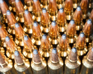 Riflles için cephane