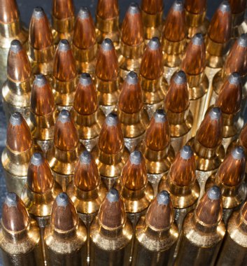 Kartuşları topluluğu