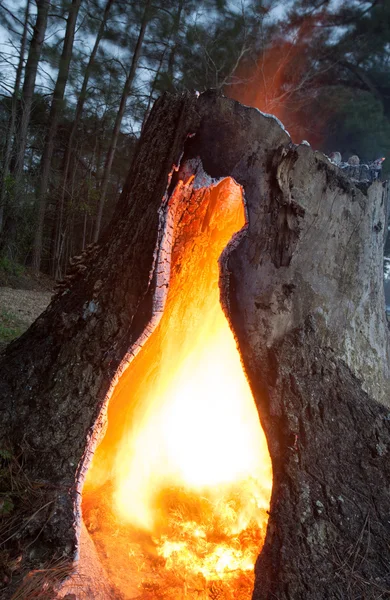 Heta stubbe brand — Stockfoto