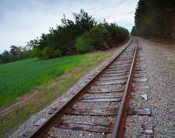 Largo camino hacia los árboles — Foto de Stock