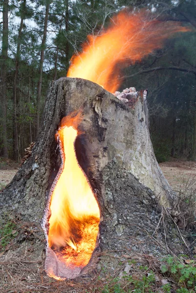 Forno a ceppo caldo — Foto Stock