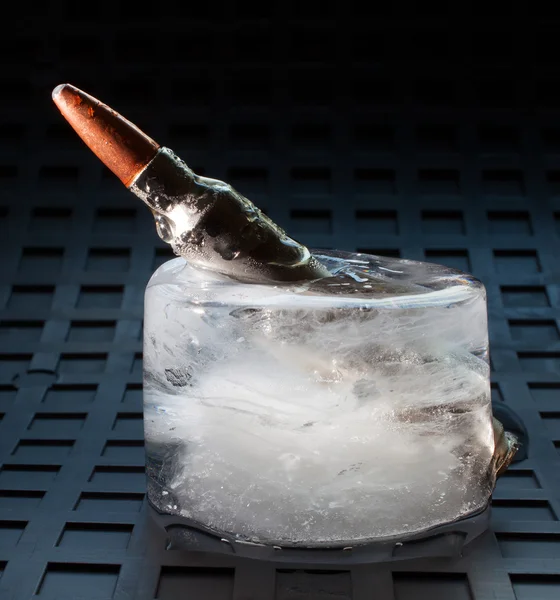 Наклонный картридж во льду — стоковое фото