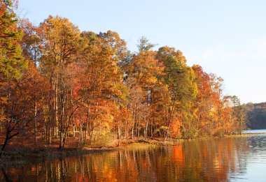 Renkli lakeside ağaç sınırından