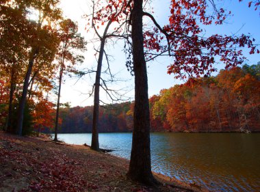 Sonbaharda gölgeli kıyı