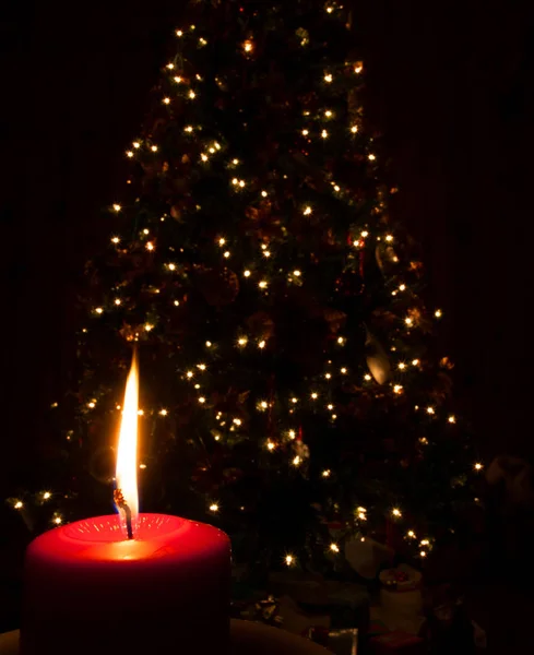 Vela de Navidad con árbol detrás — Foto de Stock