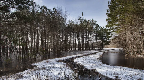 Mezcla invernal en Carolina del Norte — Foto de Stock