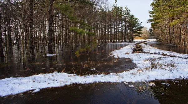 Campo de invierno en Carolina del Norte — Foto de Stock