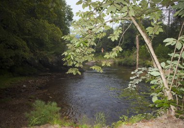 Wilson Körfezi'ne bakan iz