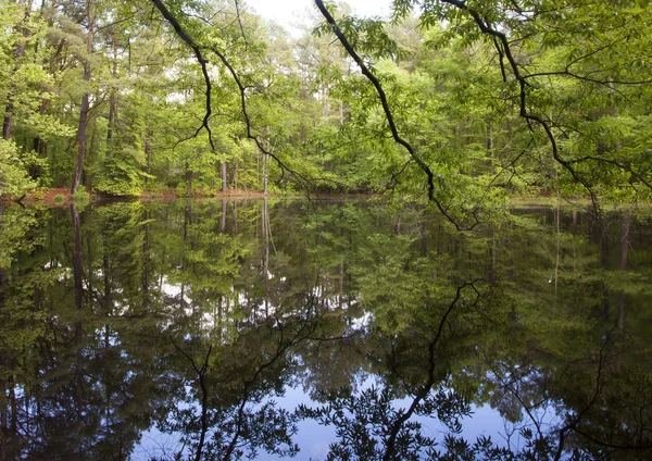 Kuzey Carolina'da sakin göl — Stok fotoğraf