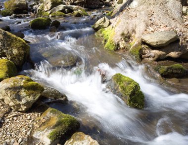 Virginia çalışan creek