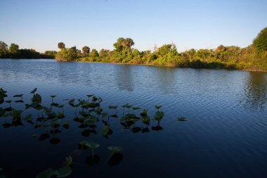 Alacakaranlık Gölü ağaç sınırından ile