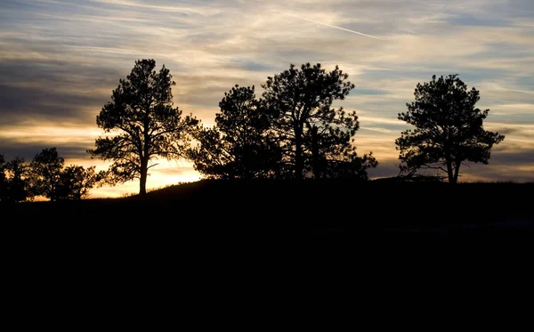 Vapor trail vid solnedgången — Stockfoto
