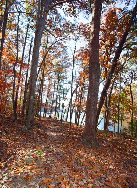 Fall trail in North Carolia — Stock Photo, Image