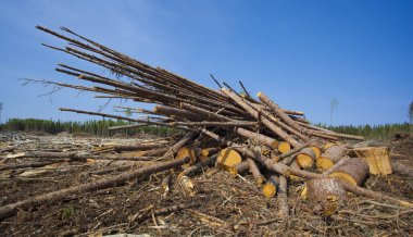 Büyük günlüğe kaydetme işlemi