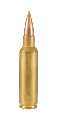 30 kalibre kartuş