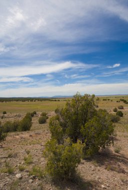 Yüksek çöl gökyüzü