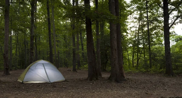 夕暮れ時の森キャンプ場 — ストック写真