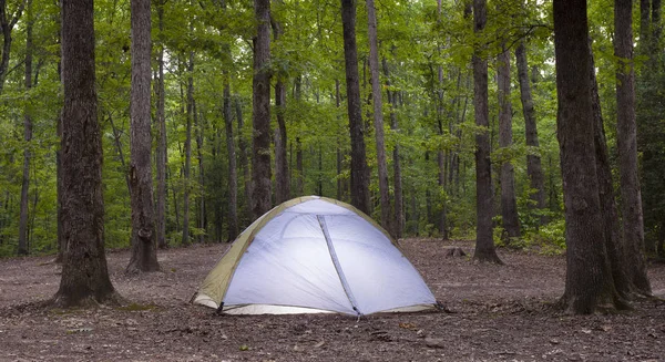 Tente éclairée dans une forêt — Photo