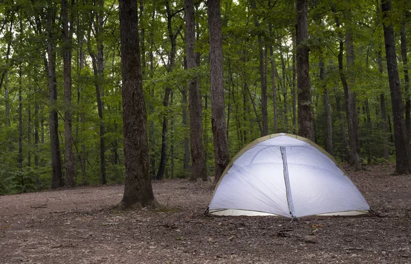 Tenda in una foresta oscura — Foto Stock