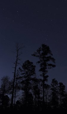 Yıldızlı mavi gökyüzü