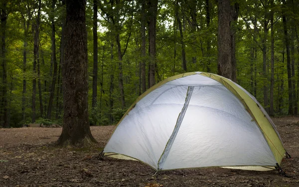 森でバックパッカー テント — ストック写真