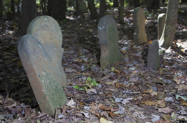 Old Scottish cemetery — Stock Photo, Image