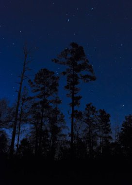 Gökyüzü yıldızlarla dolu