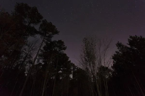 Estrellas en un cielo de Carolina del Norte — Foto de Stock