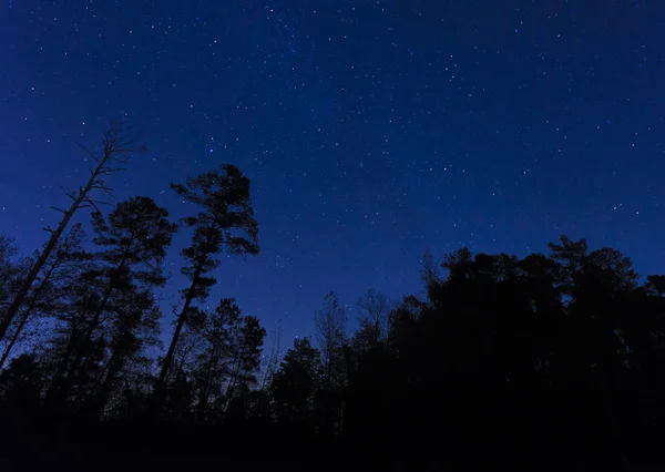 Noche de Carolina del Norte — Foto de Stock