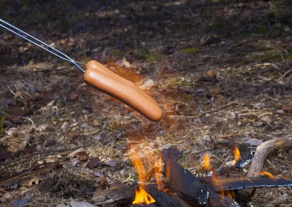 Hot dogs rostning över öppen eld — Stockfoto