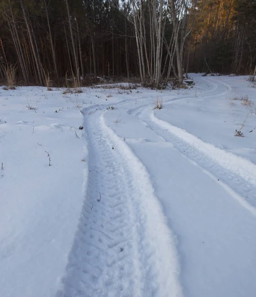Huellas de neumáticos en la nieve en el bosque — Foto de Stock