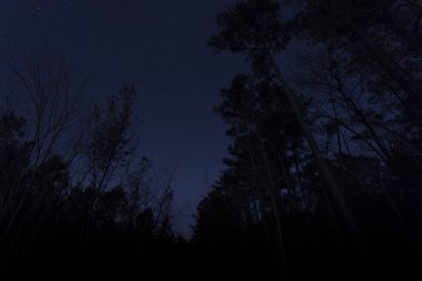 Kuzey Carolina gece gökyüzü