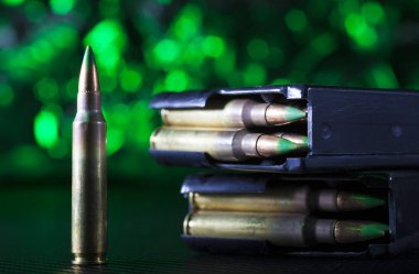 AR-15 kabukları ve bir çift metal magazini