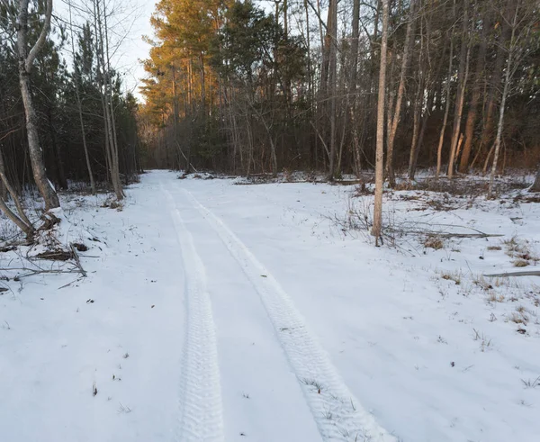 ATV rastros en la nieve de Carolina del Norte — Foto de Stock