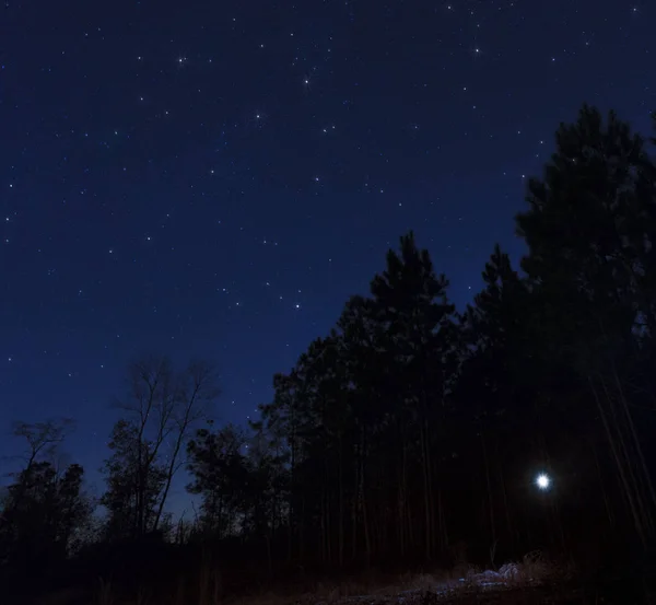 Linterna en el bosque — Foto de Stock