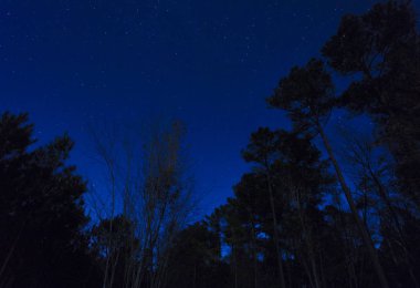 Gökyüzündeki yıldızlar