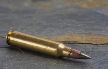 M855 gelişmiş performans yuvarlak bir kayanın üzerinde