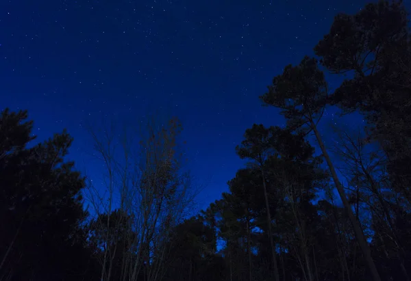 Estrellas en el cielo — Foto de Stock