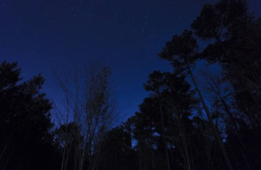 Kuzey Carolina gökyüzü