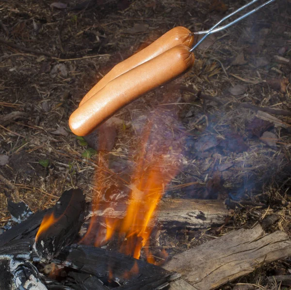 Hot dogy, vaření na ohni — Stock fotografie