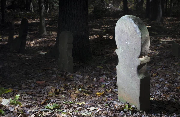 Sight of old graves — Stock Photo, Image