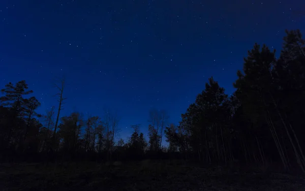 Blauwe nachtelijke hemel — Stockfoto